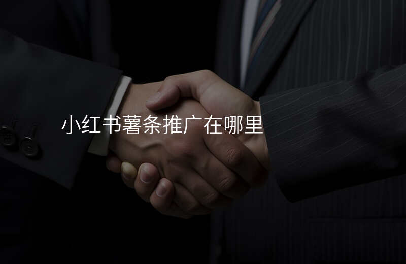 小红书薯条推广在哪里
