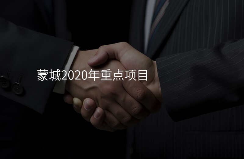 蒙城2020年重点项目