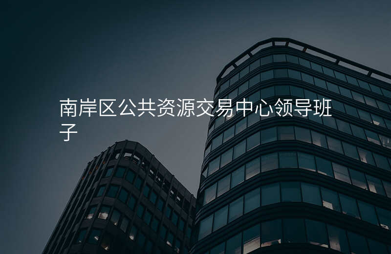 南岸区公共资源交易中心领导班子