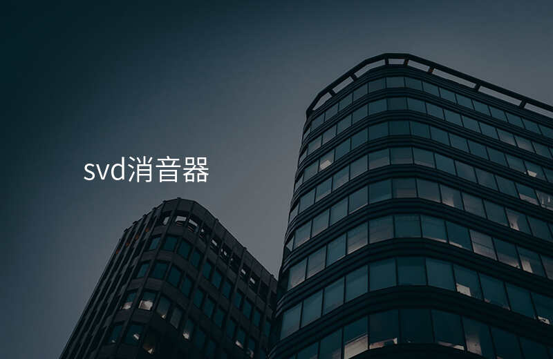 svd消音器