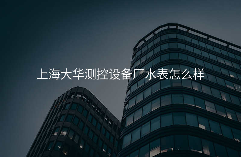 上海大华测控设备厂水表怎么样