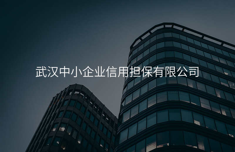 武汉中小企业信用担保有限公司