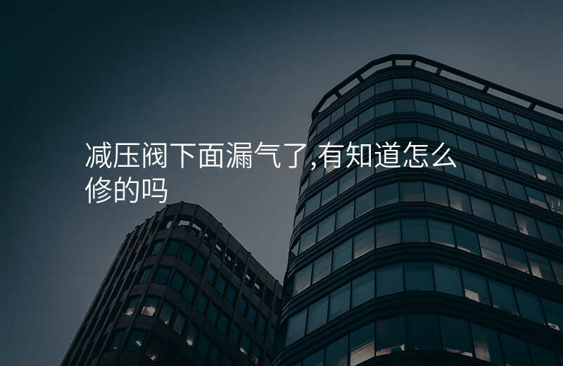 减压阀下面漏气了,有知道怎么修的吗