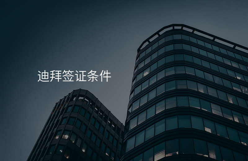 迪拜签证条件