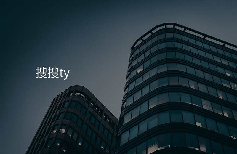 搜搜ty