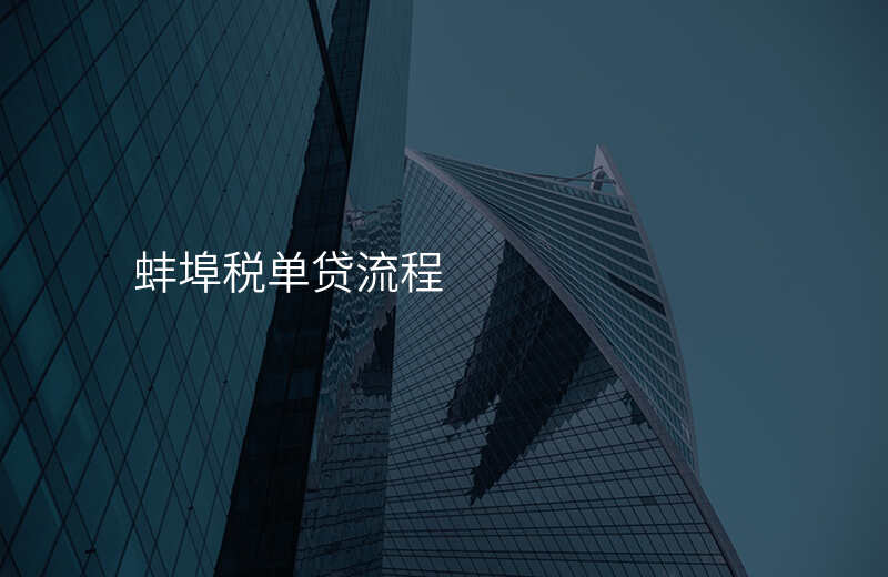 蚌埠税单贷流程