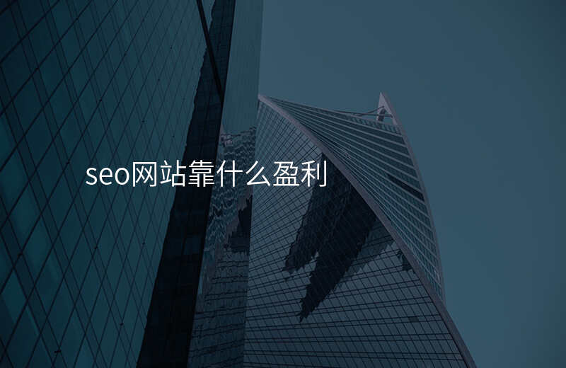 seo网站靠什么盈利