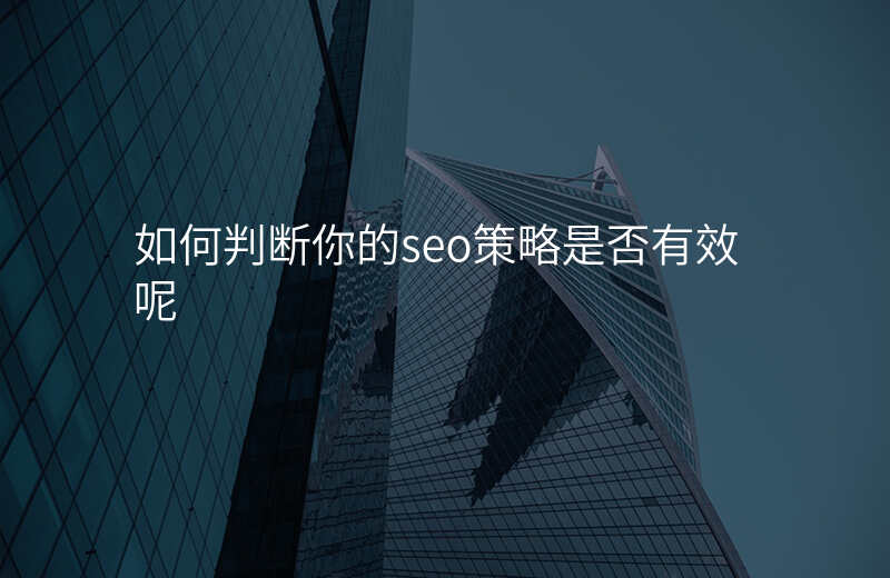 如何判断你的seo策略是否有效呢