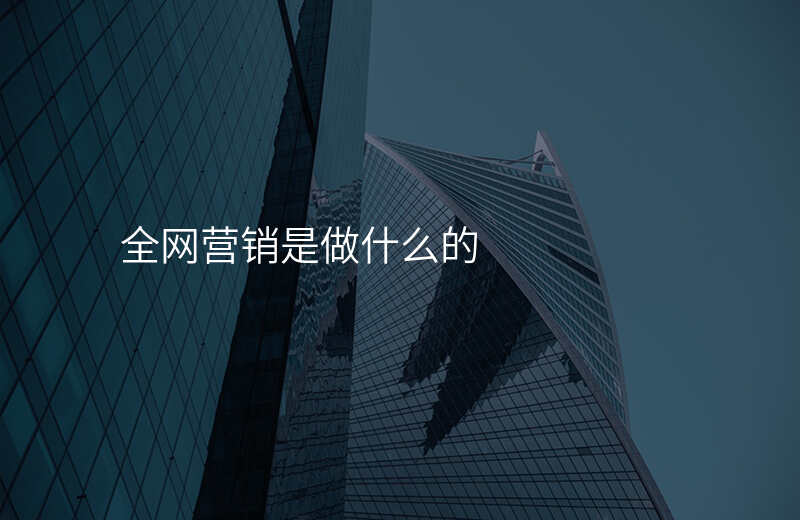 全网营销是做什么的