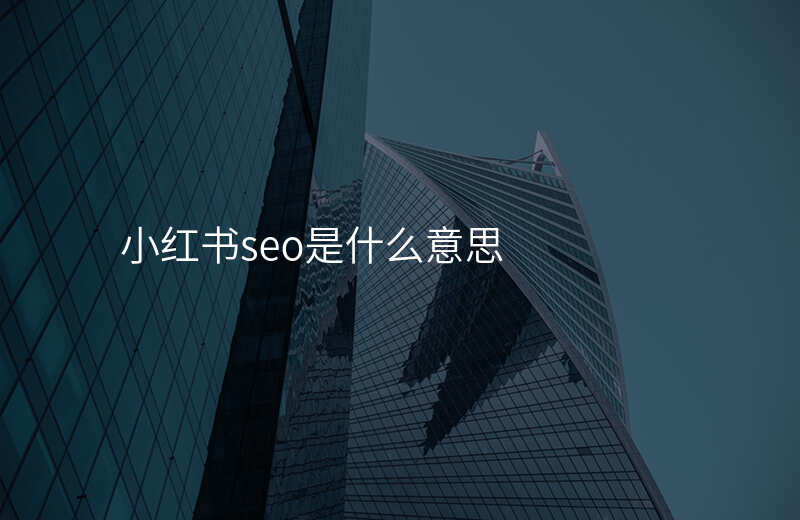 小红书seo是什么意思