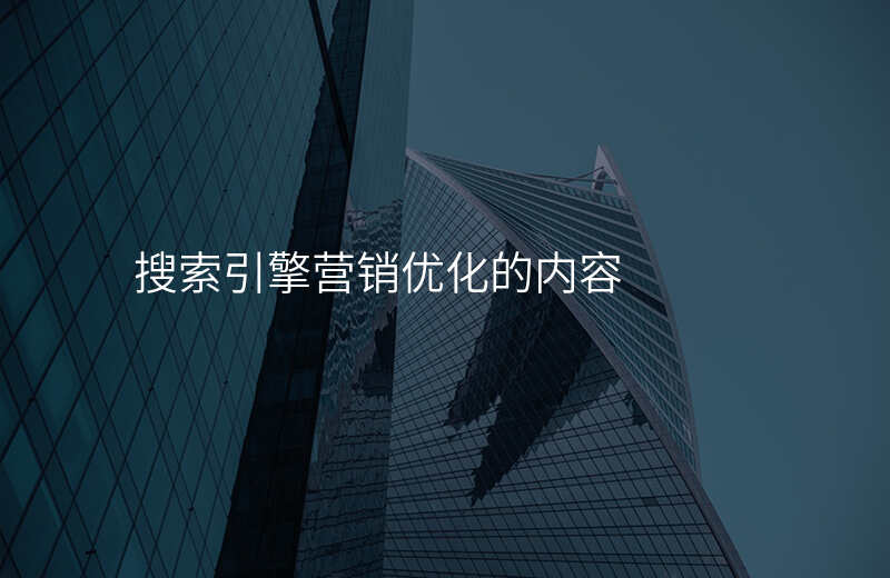 搜索引擎营销优化的内容