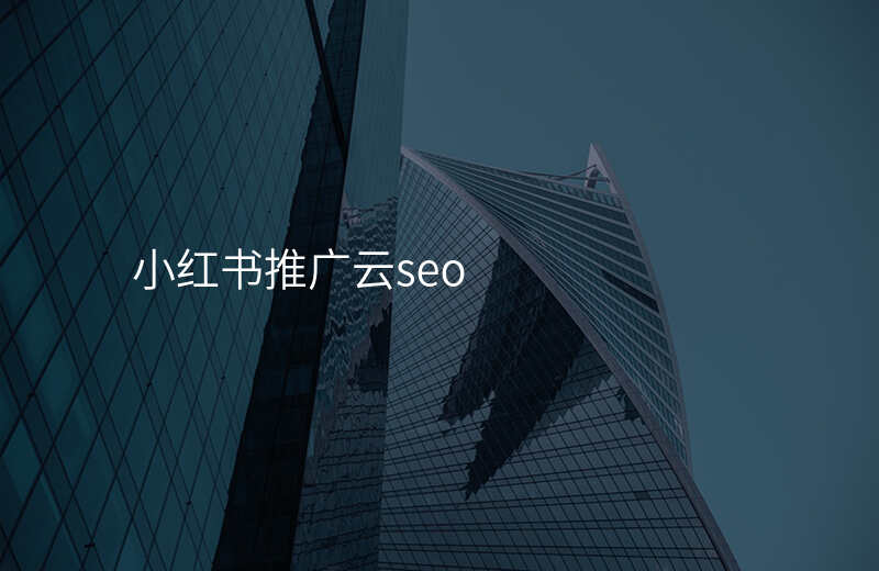 小红书推广云seo
