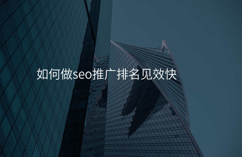 如何做seo推广排名见效快