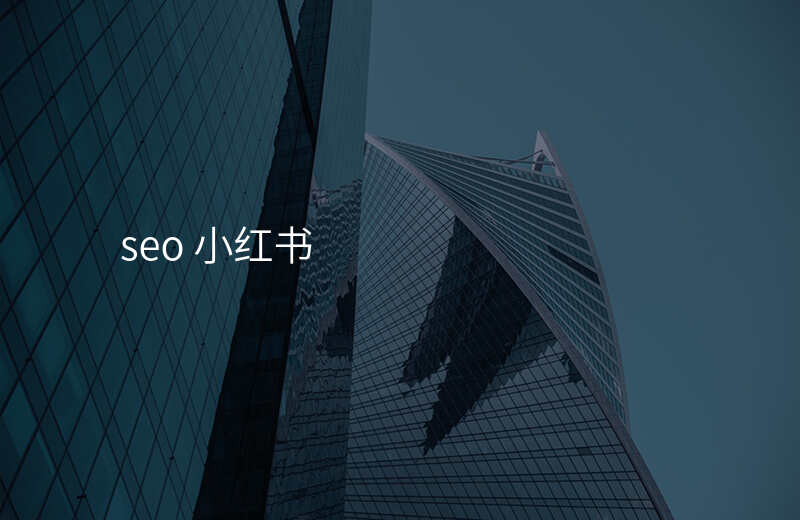 seo 小红书