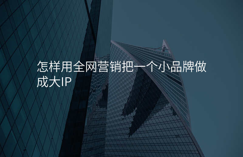 怎样用全网营销把一个小品牌做成大IP