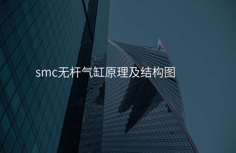 smc无杆气缸原理及结构图