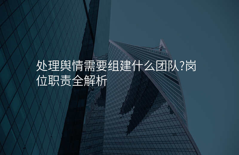 处理舆情需要组建什么团队?岗位职责全解析