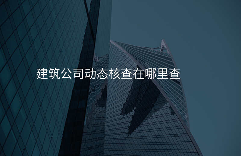 建筑公司动态核查在哪里查