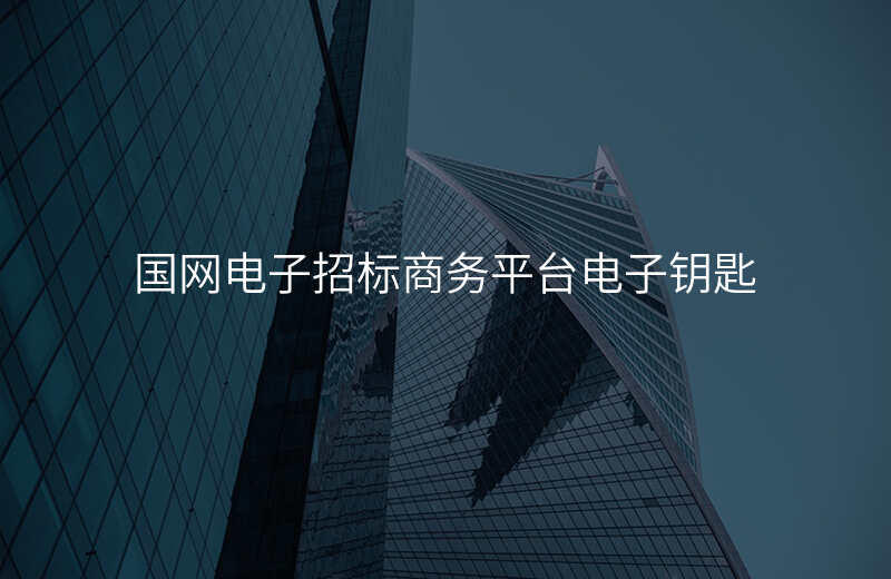 国网电子招标商务平台电子钥匙