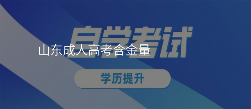 山东成人高考含金量