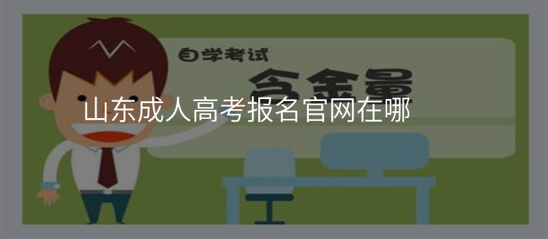 山东成人高考报名官网在哪