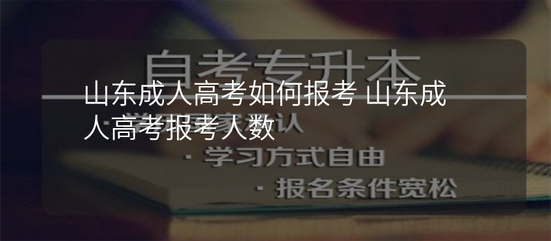 山东成人高考如何报考 山东成人高考报考人数
