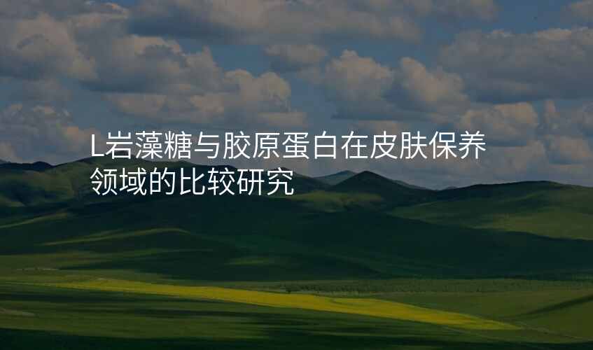 L岩藻糖与胶原蛋白在皮肤保养领域的比较研究
