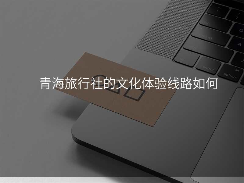 青海旅行社的文化体验线路如何