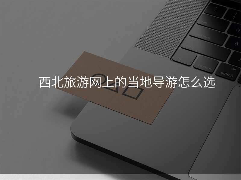 西北旅游网上的当地导游怎么选