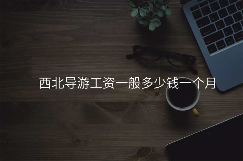 西北导游工资一般多少钱一个月