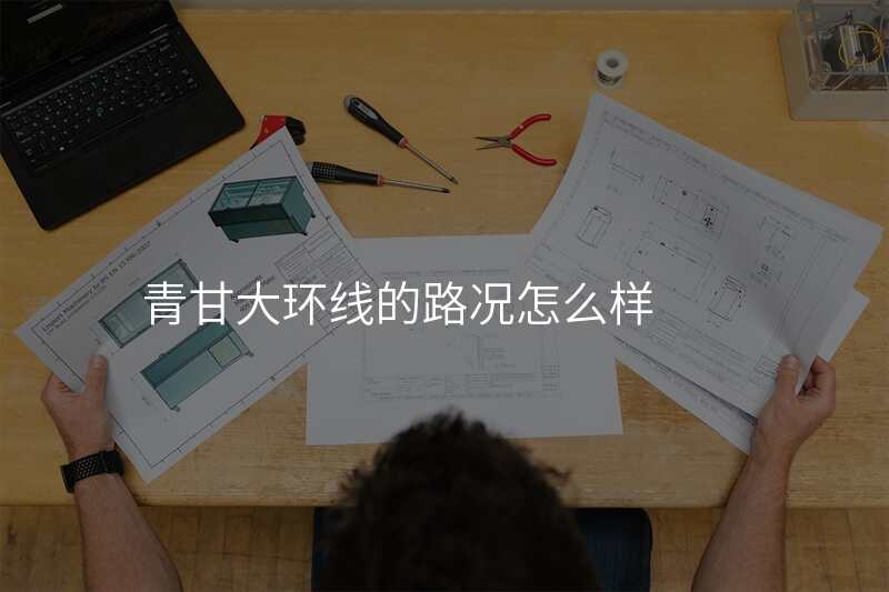 青甘大环线的路况怎么样