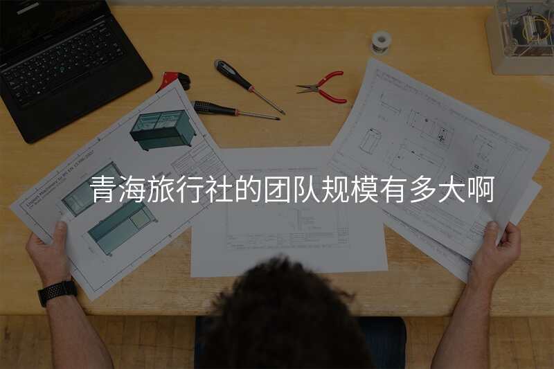 青海旅行社的团队规模有多大啊