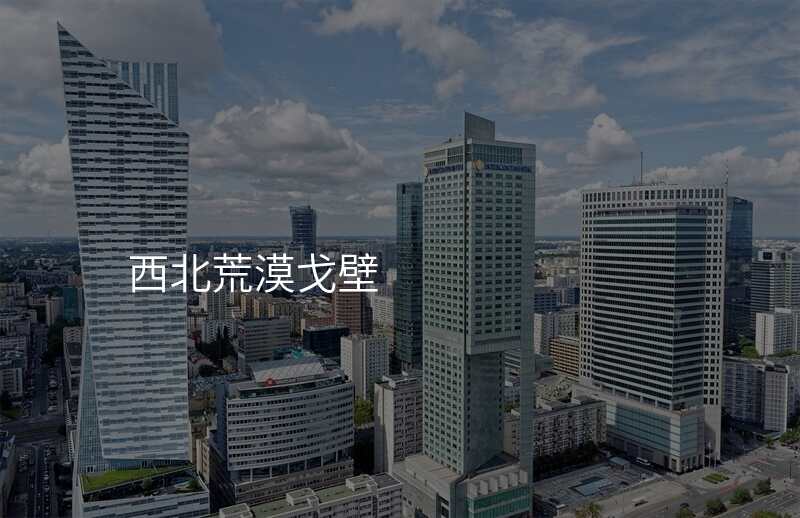 西北荒漠戈壁