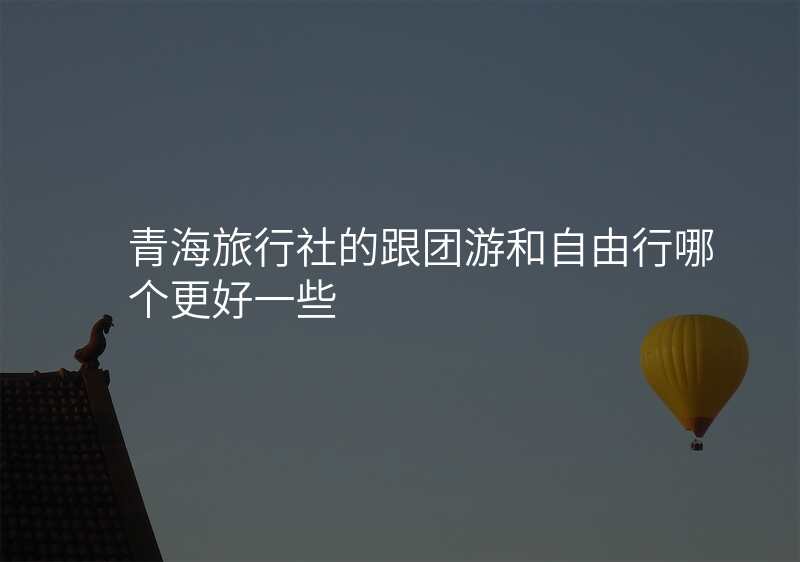 青海旅行社的跟团游和自由行哪个更好一些