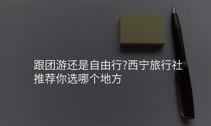 跟团游还是自由行?西宁旅行社推荐你选哪个地方