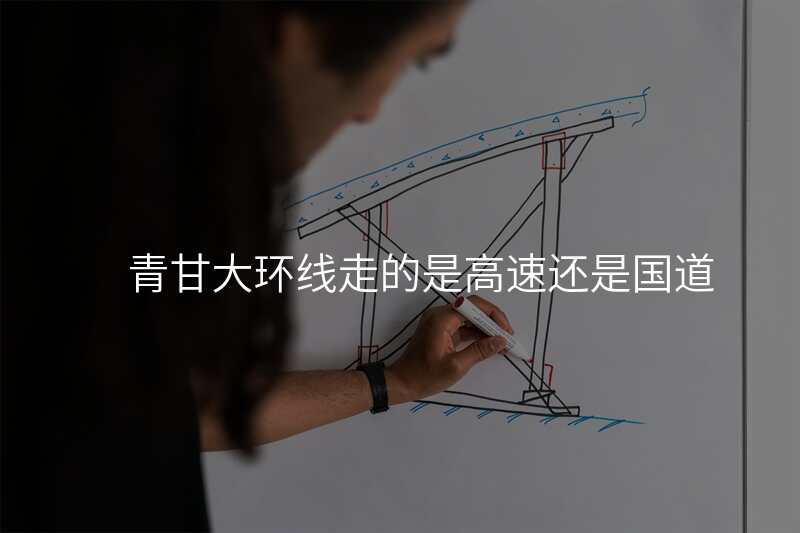 青甘大环线走的是高速还是国道