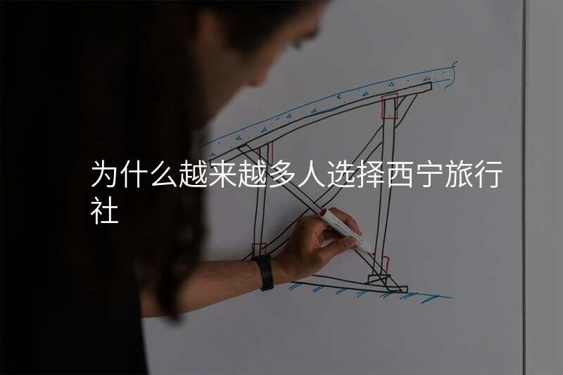 为什么越来越多人选择西宁旅行社