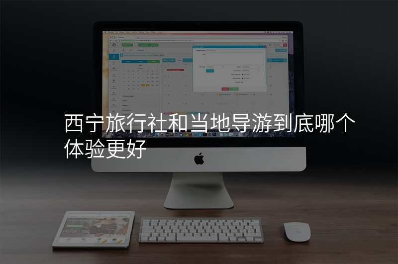 西宁旅行社和当地导游到底哪个体验更好