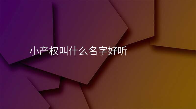 小产权叫什么名字好听