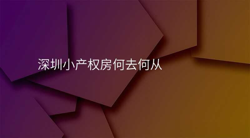 深圳小产权房何去何从