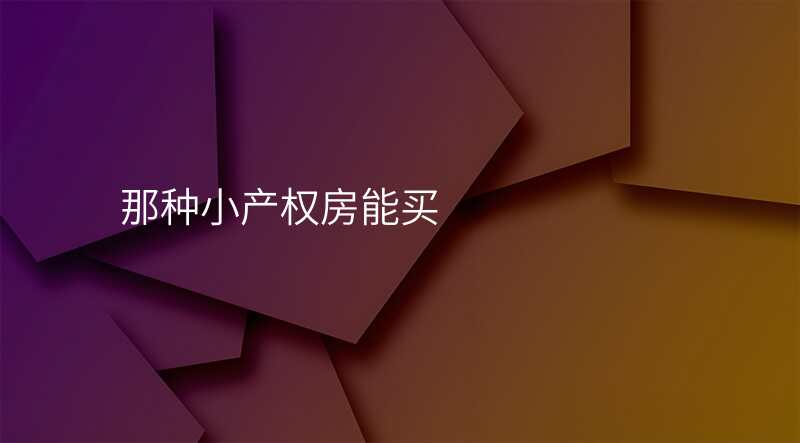 那种小产权房能买