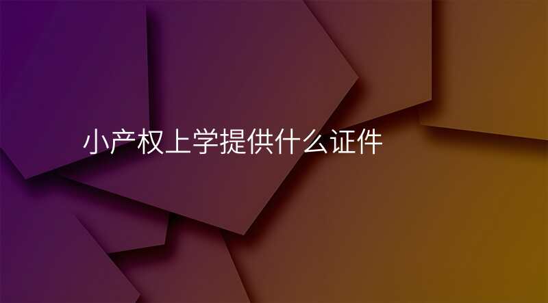 小产权上学提供什么证件