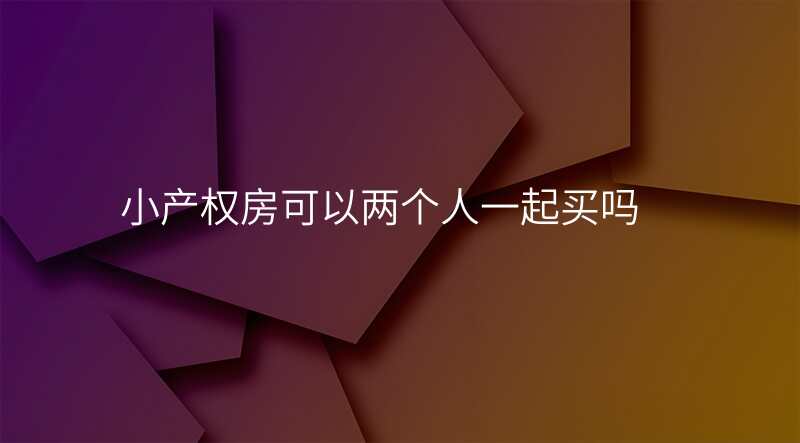 小产权房可以两个人一起买吗