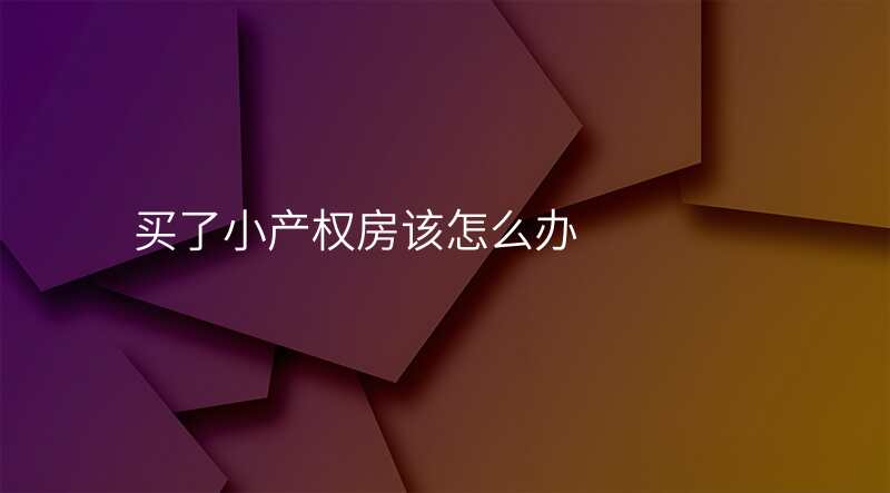 买了小产权房该怎么办
