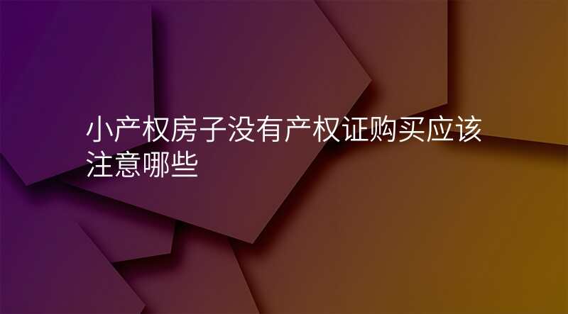 小产权房子没有产权证购买应该注意哪些