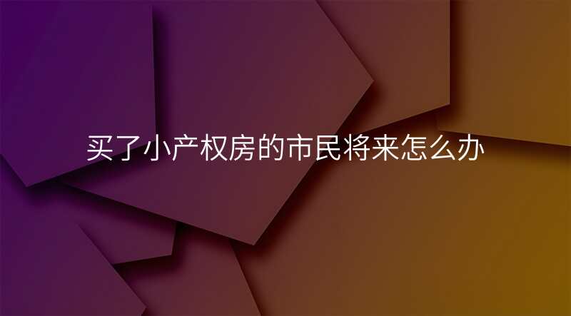 买了小产权房的市民将来怎么办