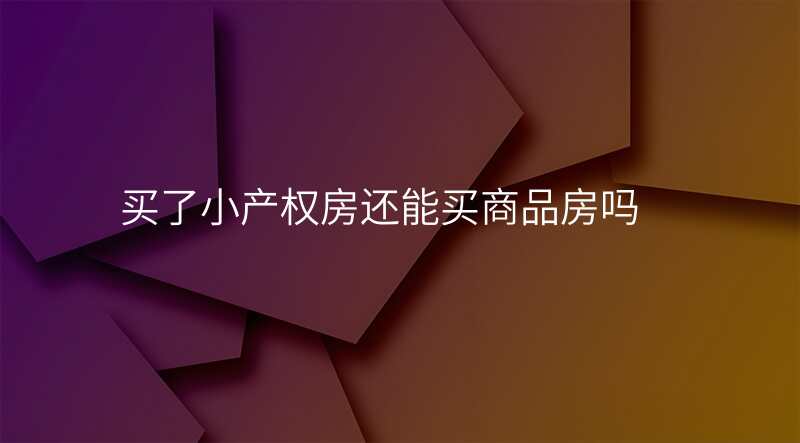 买了小产权房还能买商品房吗