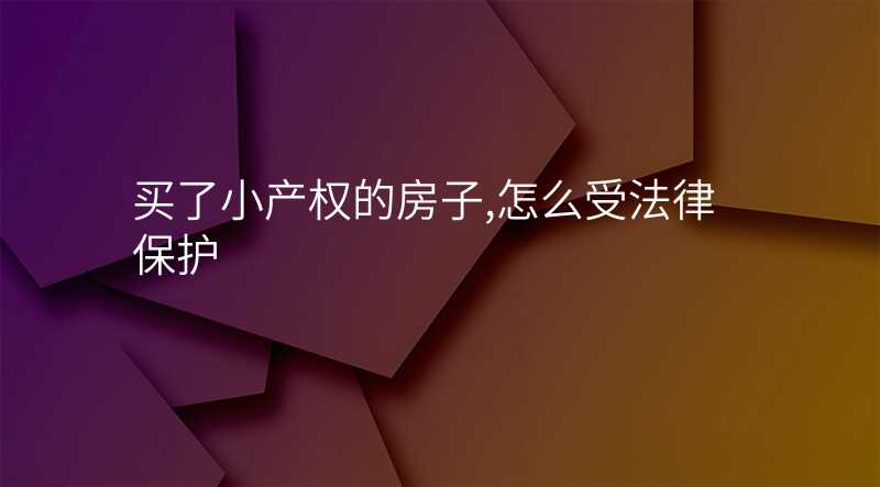 买了小产权的房子,怎么受法律保护