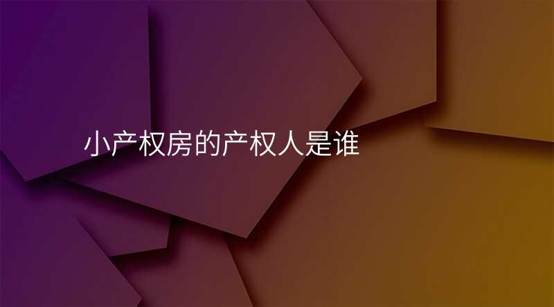 小产权房的产权人是谁