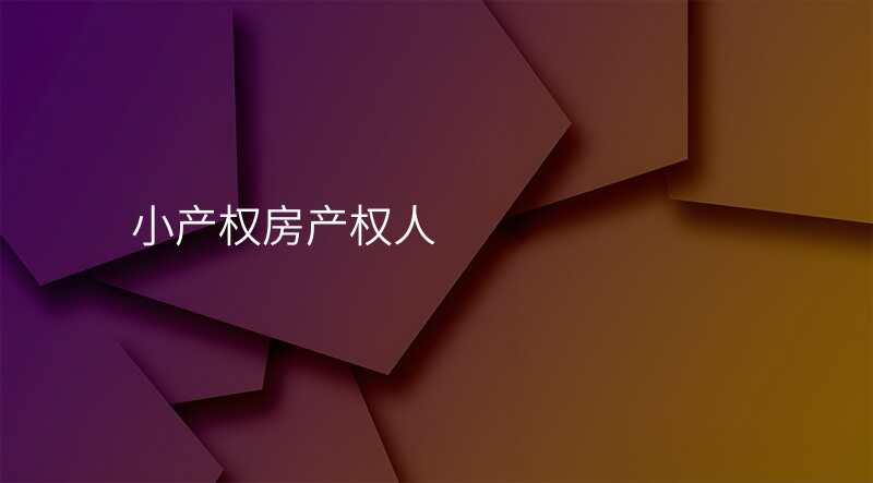 小产权房产权人